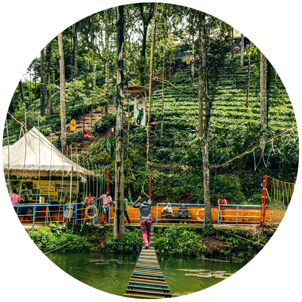 munnar_pavithra_holidays_homestay_travels_rooms_adventure_park.png