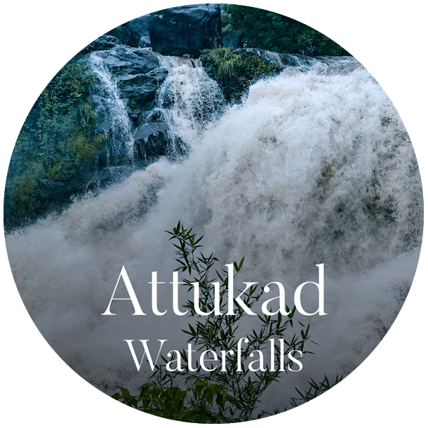 munnar_pavithra_holidays_homestay_travels_rooms_attukad_waterfall