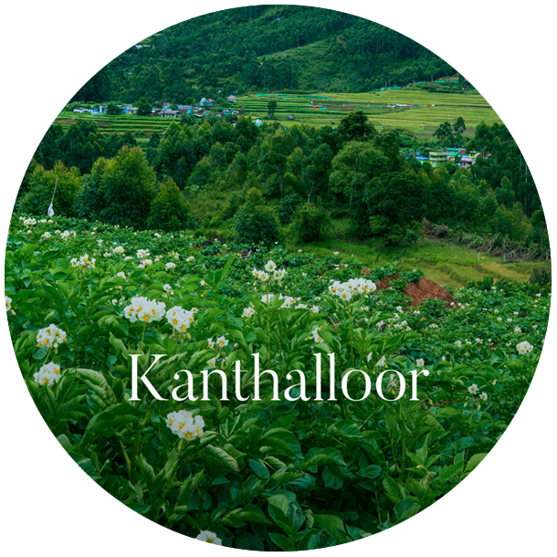 munnar_pavithra_holidays_homestay_travels_rooms_kanthaloor.png