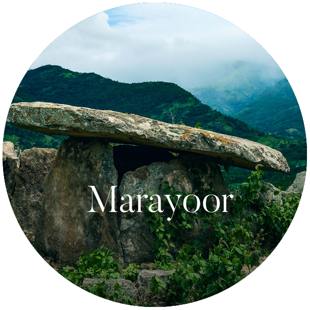 munnar_pavithra_holidays_homestay_travels_rooms_marayoor.png