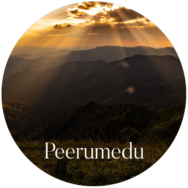 munnar_pavithra_holidays_homestay_travels_rooms_peerumedu.png