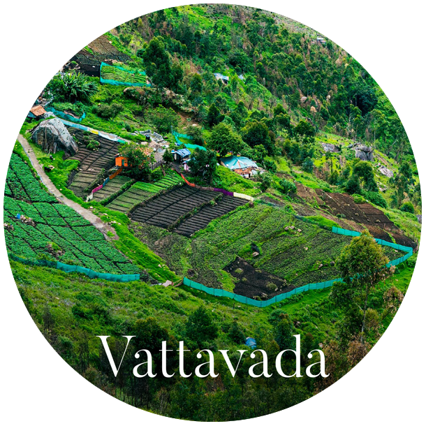 munnar_pavithra_holidays_homestay_travels_rooms_vattavada.png